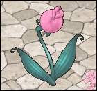 ヘブンチェリー