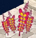 桜花