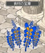 食材の宝庫