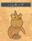 ハレキング