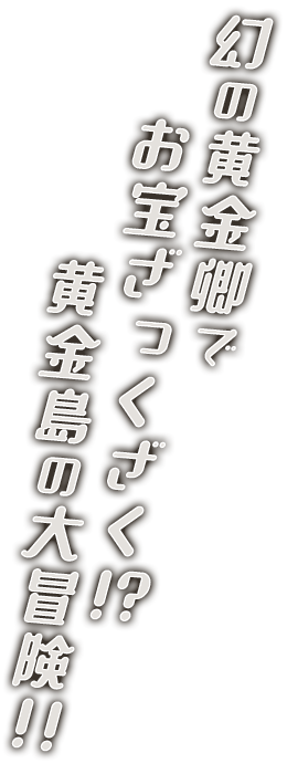 幻の黄金卿でお宝ざっくざく！？黄金島の大冒険！